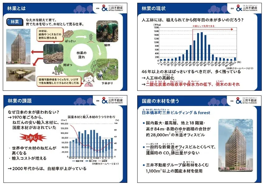 林業の流れと国産木材活用の説明