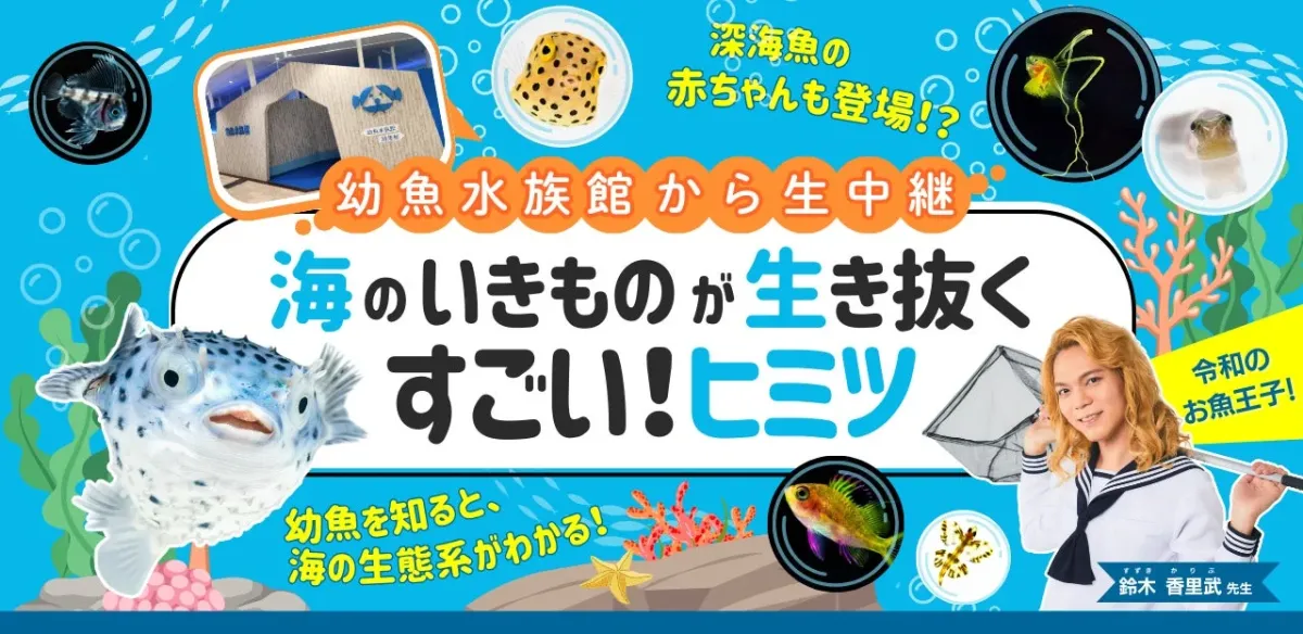幼魚水族館から生中継