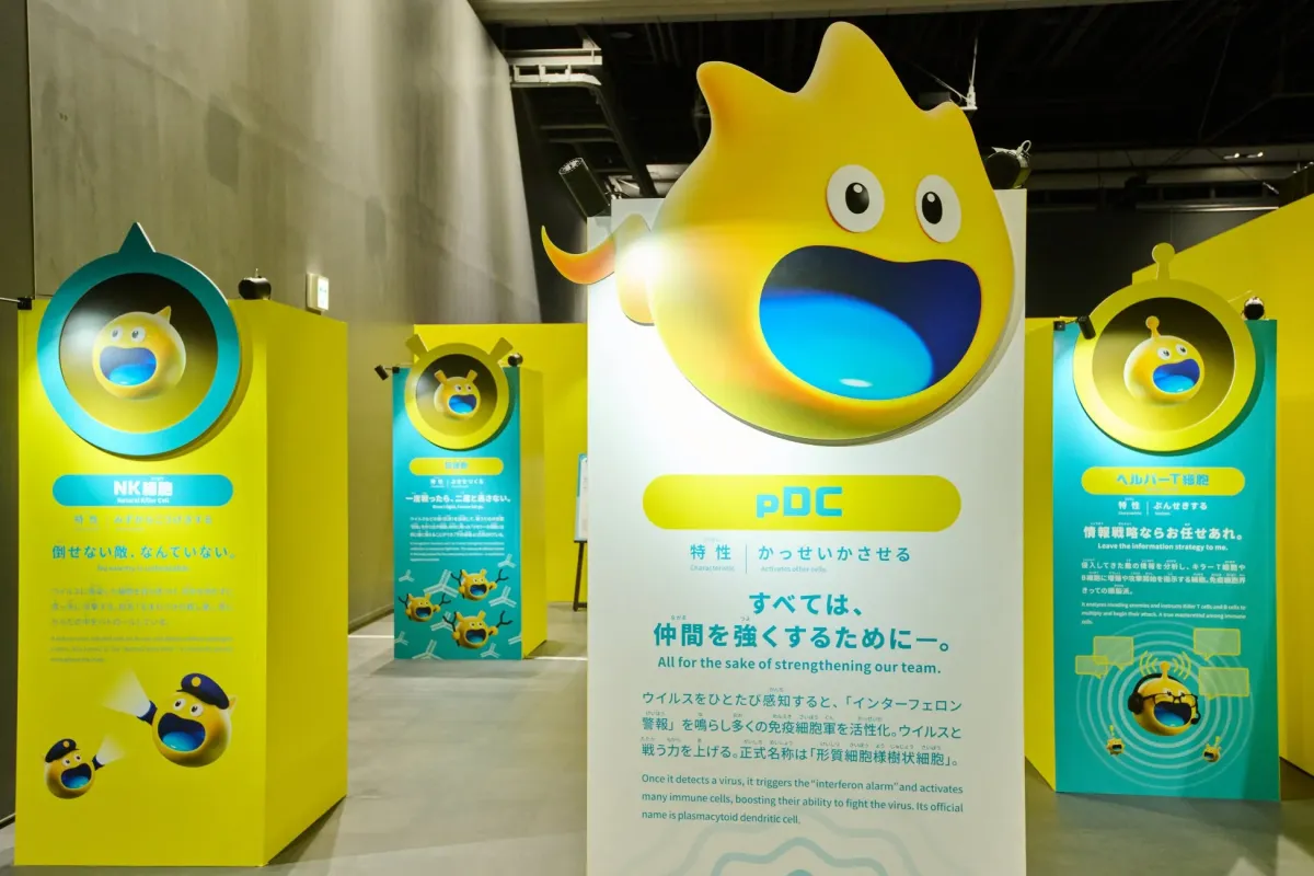 免疫細胞解説パネル