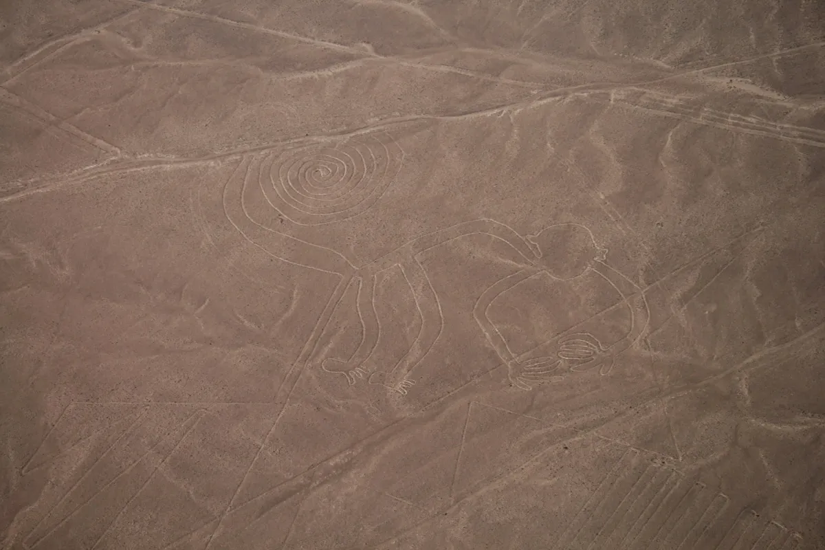 ペルーのナスカの地上絵「サル」