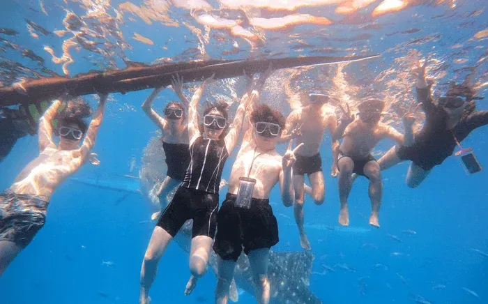 透明な青い海中で、ゴーグルをつけた人々が笑顔でピースサインをしながら浮いています。大きな木製の棒につかまっている人もおり、背景には小魚やジンベエザメらしき大型の海洋生物が見えます。楽しい水中アクティビティの様子を捉えた写真です。