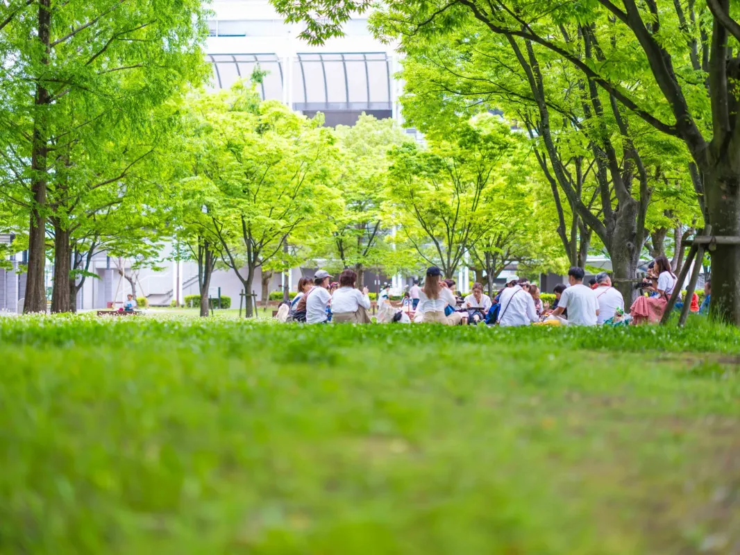 新緑がまぶしい公園の芝生に、多くの人々が座ってくつろいでいる様子