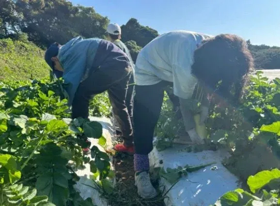 地域農場と食品づくりのプロが届ける体験型SDGs授業