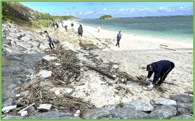 海岸でゴミ拾いを行う清掃活動の様子