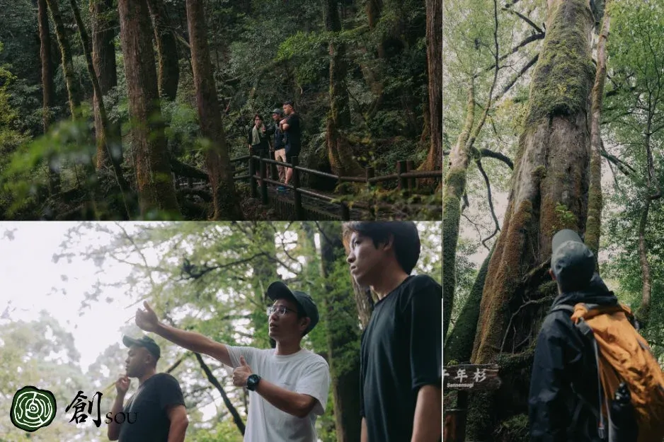 屋久島の千年杉の前で説明を聞くグループ