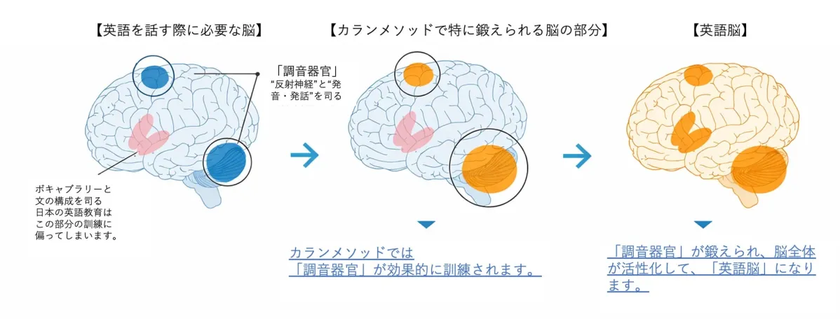 英語を話す脳の仕組みとカランメソッド
