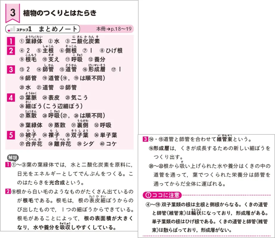 別冊解答の解説例
