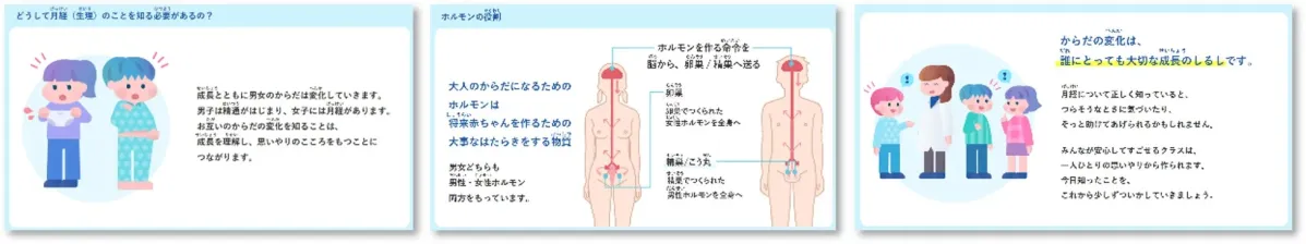思春期の身体の変化、特に月経と精通について、ホルモンの役割を交えながら解説する教育資料