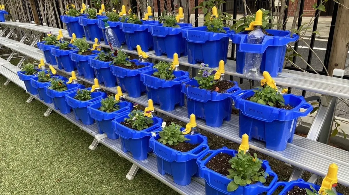 学校のプラスチック鉢