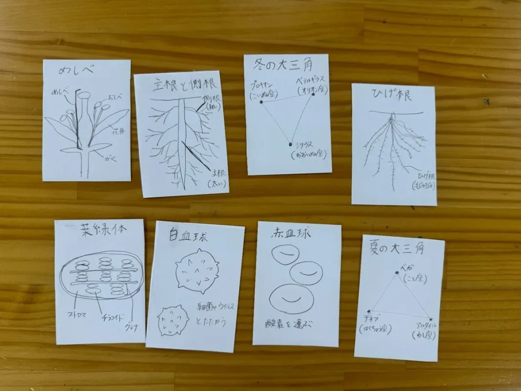 手書きの理科の学習ノート